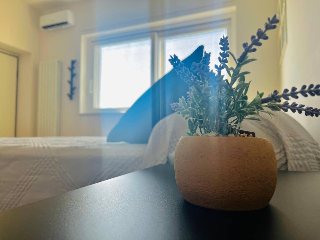 Vedi Napoli E Vivi Apartment 토레델그레코 외부 사진